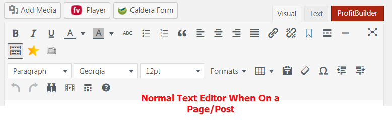 Text editor options from a Page/Post. No problems here.